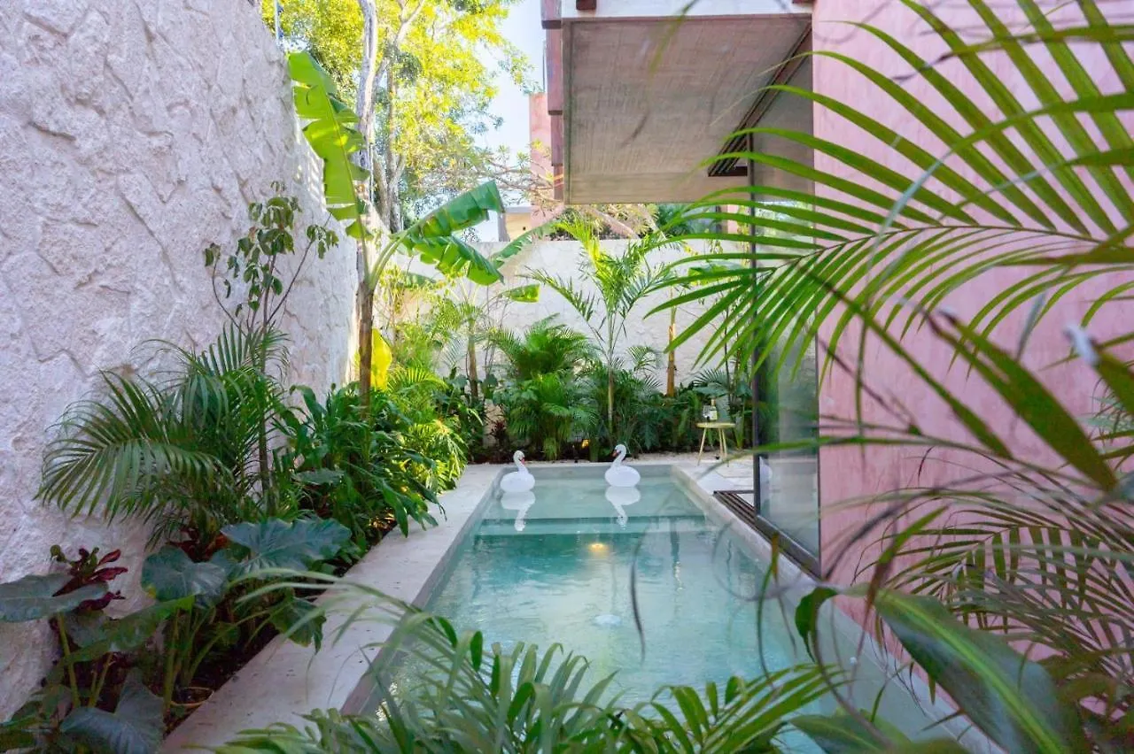 Primrose Jungle Paradise Villa, 3Brd, Island Shower, 2 Private Pools, Gourmet Dining & 24Hr Security Tulum
