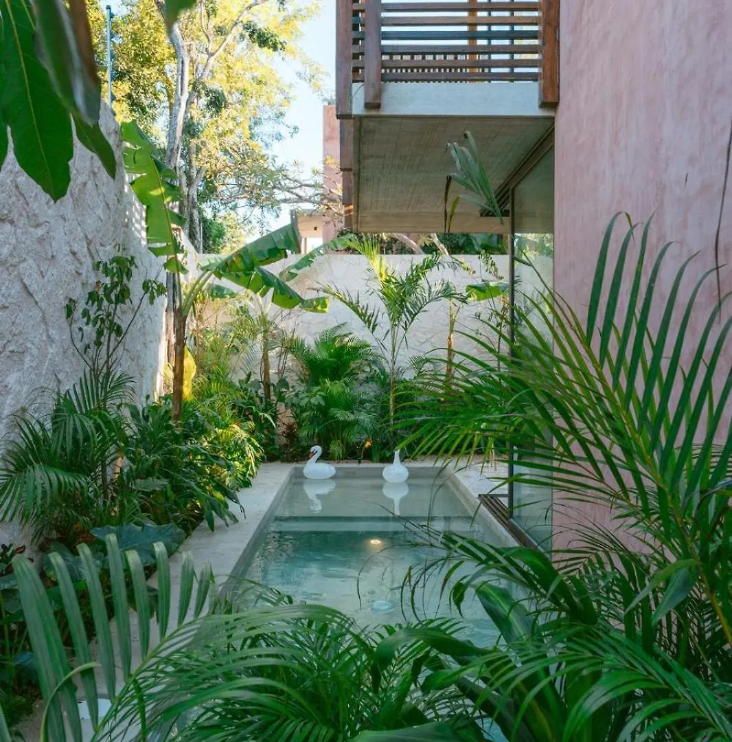 Primrose Jungle Paradise Villa, 3Brd, Island Shower, 2 Private Pools, Gourmet Dining & 24Hr Security Tulum